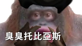 「Tobias Fate 中文」STINKY TOBIAS GAMEPLAY I FOUND IN MY BASEMENT 地下室找到的臭臭托比亞斯操作［中文字幕］