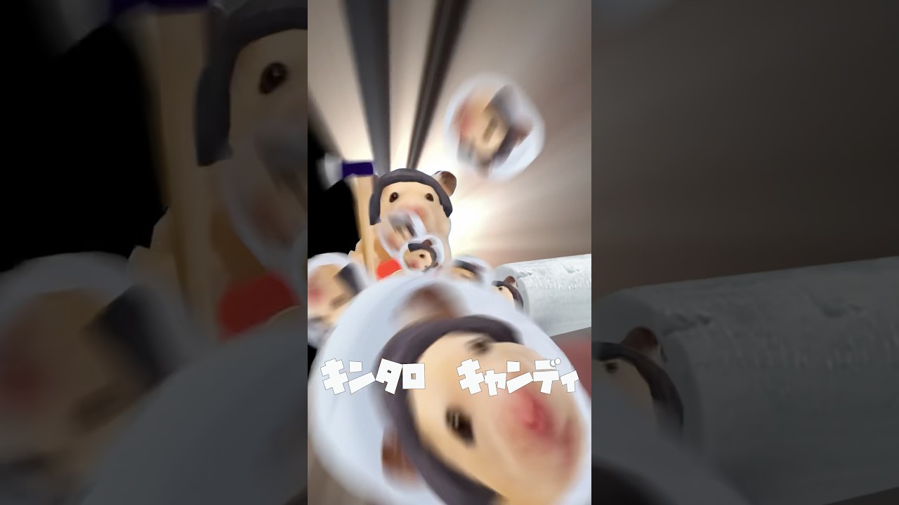 "HamPacino Kintaro Candy" Scene6 #short #hampacino #mikuhatsune #hamsters #ハムパチーノ