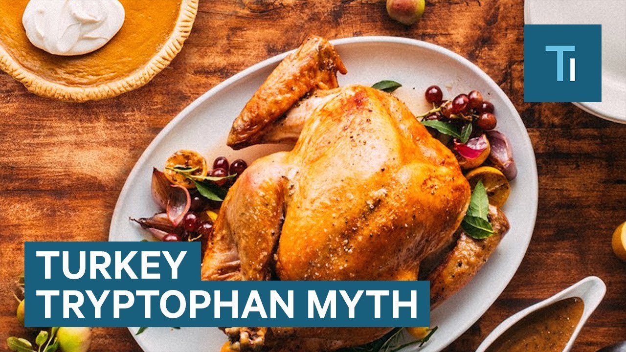 Does Turkey Make You Sleepy?