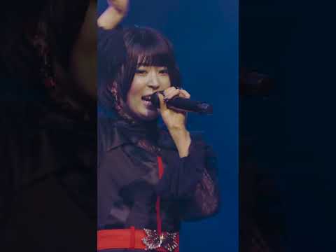 ♪ メロドラマ Live ver. #ringwanderung  #ライブ #idol