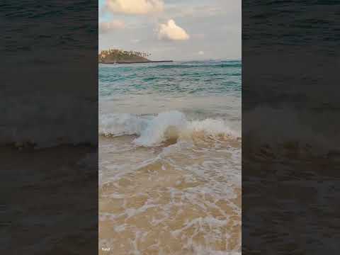 Parrot Rock Beach ⛱️#travel #shorts