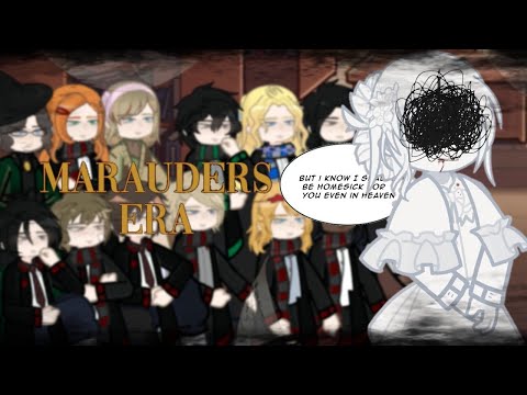 The Marauders Era React to Y/n as Lily Evans Deceased Younger Sister 