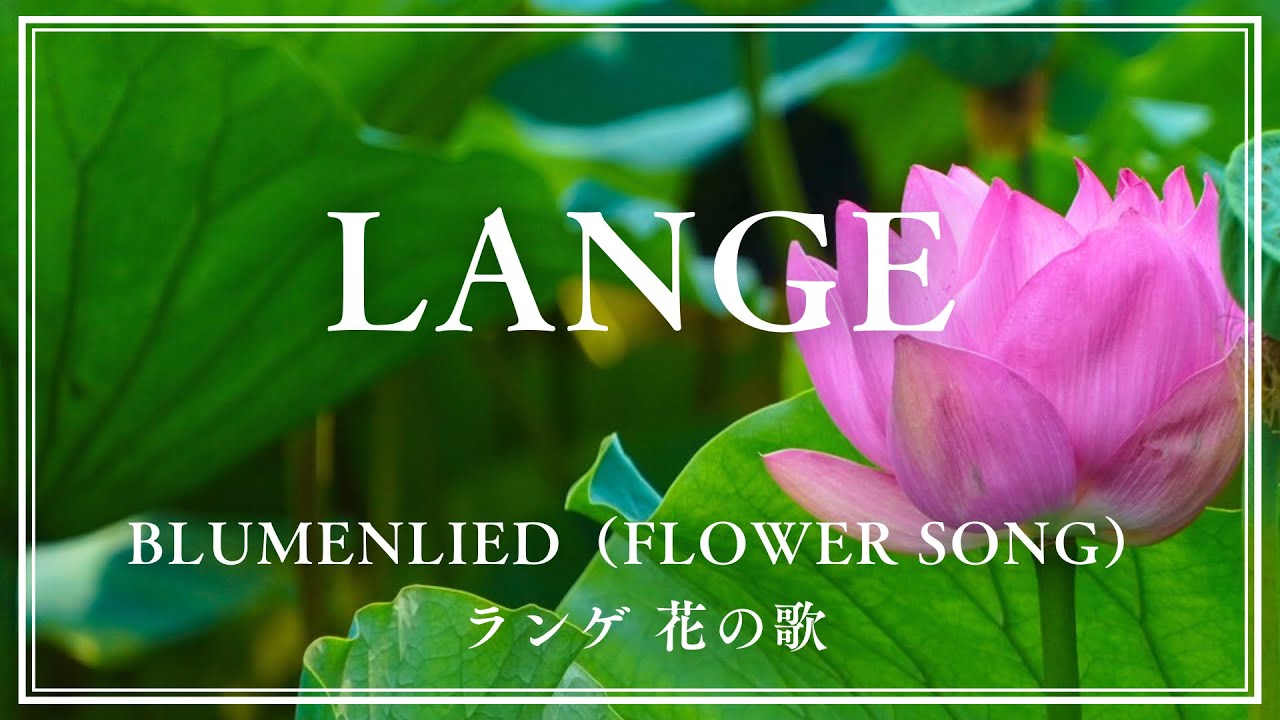【名曲】ランゲ「花の歌」/ Blumemlied (Flower Song)