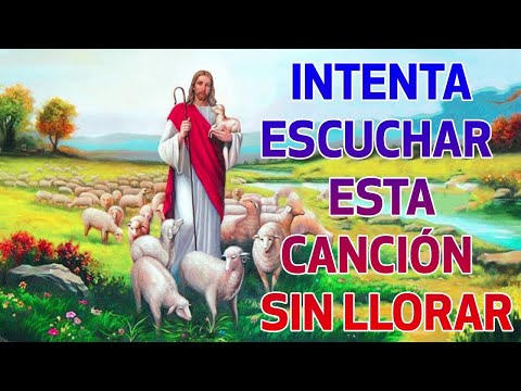 LA CANCIÓN CATÓLICA MAS HERMOSA DEL MUNDO 2021 - INTENTA ESCUCHAR ESTA CANCIÓN SIN LLORAR