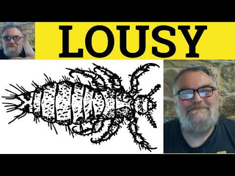 🔵 Lousy Meaning - Louse Lice Defined - Lousy Examples- Informal English - Lousy Louse Lice