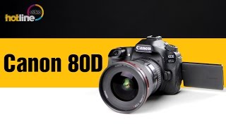 Canon EOS 80D body (1263C031) - відео 1