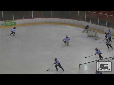 27.02.2017 Düsseldorfer EG Damen vs. Moskitos Essen ganze Länge