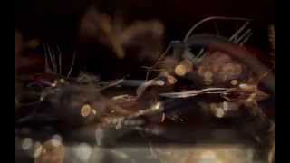 the memory of a moment