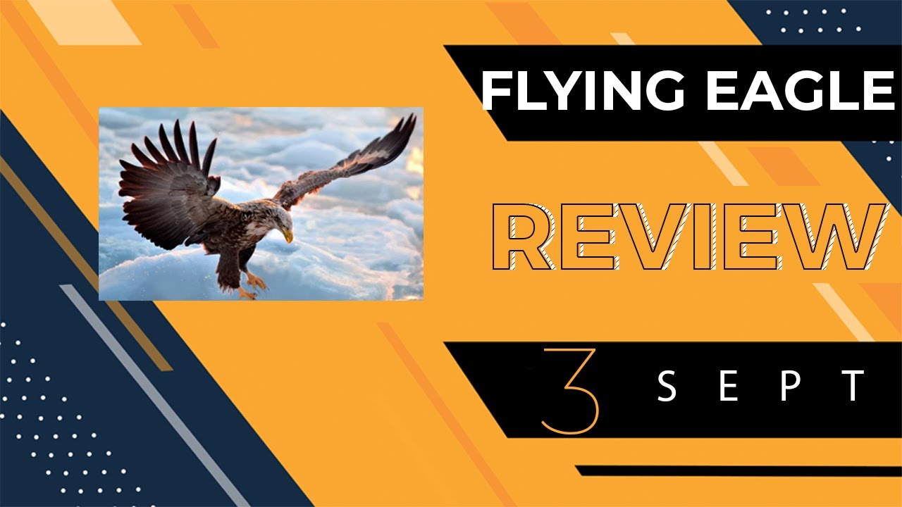 Flying Eagle Stock Review SEPT 3 | What Type Of Eagle?