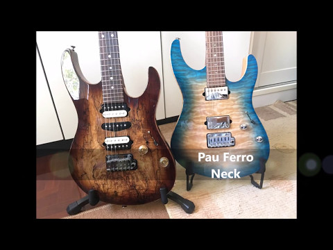 Suhr Modern Cocobolo vs Pau Ferro Neck Shootout