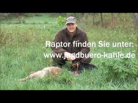 Erster Rehbock erlegt!