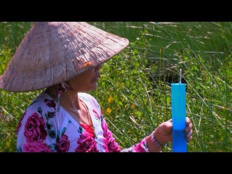 MEKONG - The Delta Film  [English Version]