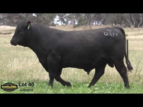 GRANITE RIDGE QUARTERPOUNDER Q274