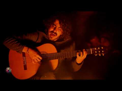 Conference of Birds - Batuhan Polat - Başka Bir Hayat Var