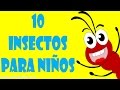 Insectos Para Niños Sonidos De Animales