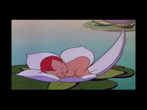 60's Girl Group The Persianettes ~ Summertime Is Near