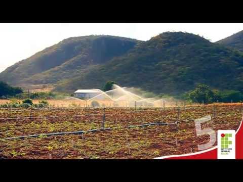 IF Baiano Campus Guanambi - Vídeo Promocional de 5 anos