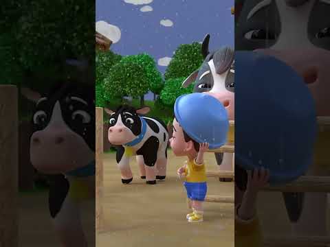 Rain Rain Go Away | Animal Version | Newborn Nursery Rhymes