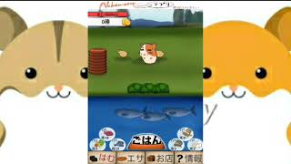 痩せているハムスターを育ててみた❗