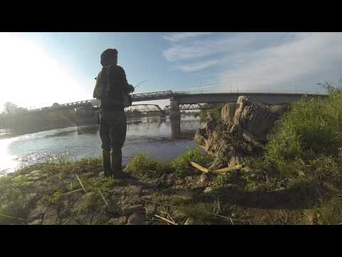 BoleńTV: Bolenie spod mostu