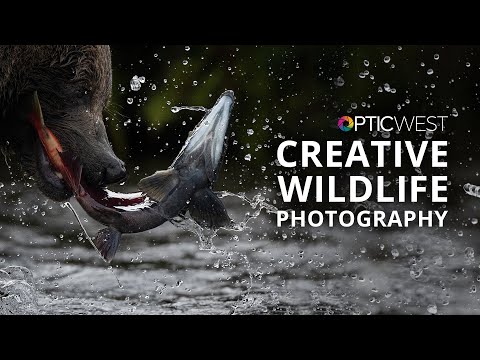 Creative Camera Techniques for Wildlife Photography | Kristi Odom | B&H OPTIC West