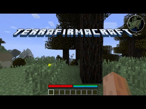 TerrafirmaCraft - Episode 1 - a whole new world