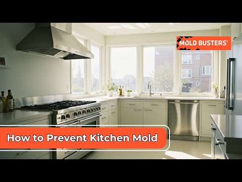 How to Prevent Mold in Kitchen: Complete Professional Guide
