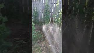 just watering my weeds