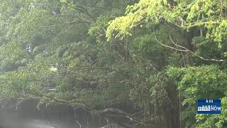 Hilo residents prepare for the worst as Moke brings minimal impacts