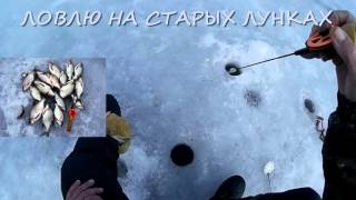 Зимняя рыбалка ловля на медузу
