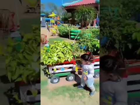 Chuk Chuk Rail Chali🤣🤣 #rail #garden #flowers #plants #love #cute #views #fyp #viral #viralshorts