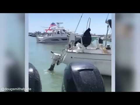 Boat Fails and Wins Best of The Week Part 267
