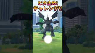 【ポケモンGO】ゼクロム・レイド『🛑ピタ止めチャレンジ!!🛑』【エクセレントを狙おう！】【Pokémon GO】