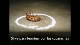 Donde comprar acido borico