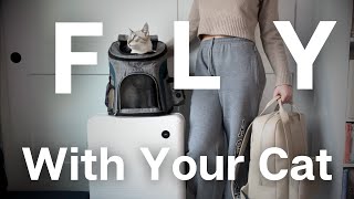 Airplane travel with your CAT: Beginner's guide to flying internationally with your cat!
