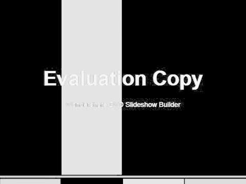 Infinitu' - Teoria Haosului Controlat