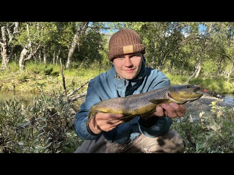 TAIMENEN KALASTUS! // Packraft kalastusvaellus Ruotsin lappiin osa 1/5