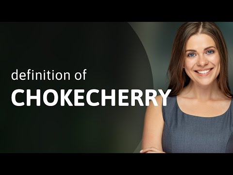 Chokecherry — meaning of CHOKECHERRY