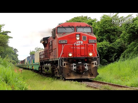 TRENS no VERÃO de 2020!