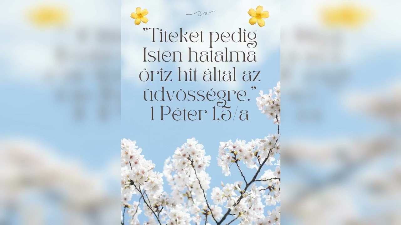 Barta Attila: Hervadhatatlan örökség
