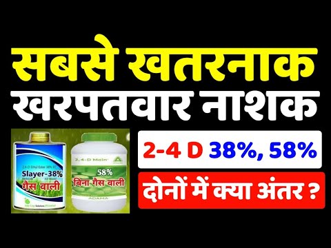 सबसे घातक खरपतवार नाशक 2, 4 D 38% और 58% के बारे में संपूर्ण जानकारी | अंतर और सावधानी जरूर देखें 🔥