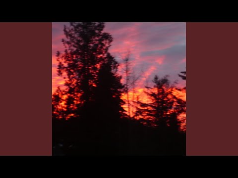 Letters in December (feat. Rxseboy)