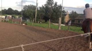 Mini - Intro A - Dressage Anywhere- August 2013