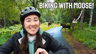 E-Biking 22 Miles on Alaska's Tony Knowles Coastal Trail in Anchorage
