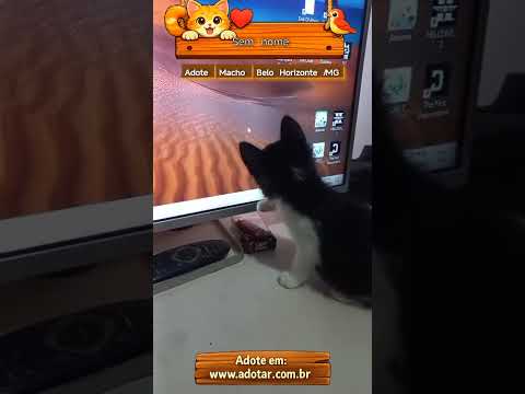 Vídeo de Sem nome