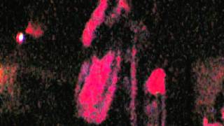 Electric Six - Pink Flamingos (Live)