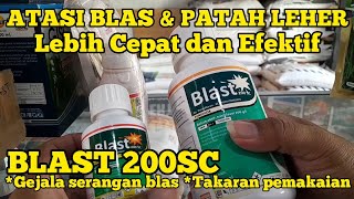 Download lagu BLAST 200SC.DOSAGE PER TANK AND SYMPTOMS OF BLAST/LEAF SPOT ATTACK mp3 Download lagu BLAST 200SC.DOSAGE PER TANK AND SYMPTOMS OF BLAST/LEAF SPOT ATTACK mp3