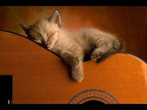 PET THERAPY ♣ Sleep Music for Dogs and Cats - Soothing Music w/ Binaural Beats - Anxiety Relief