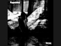 Engelsblut - Warum? 