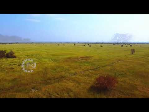 Aerial view of Sudd Swamp in Lakes State, Yirol